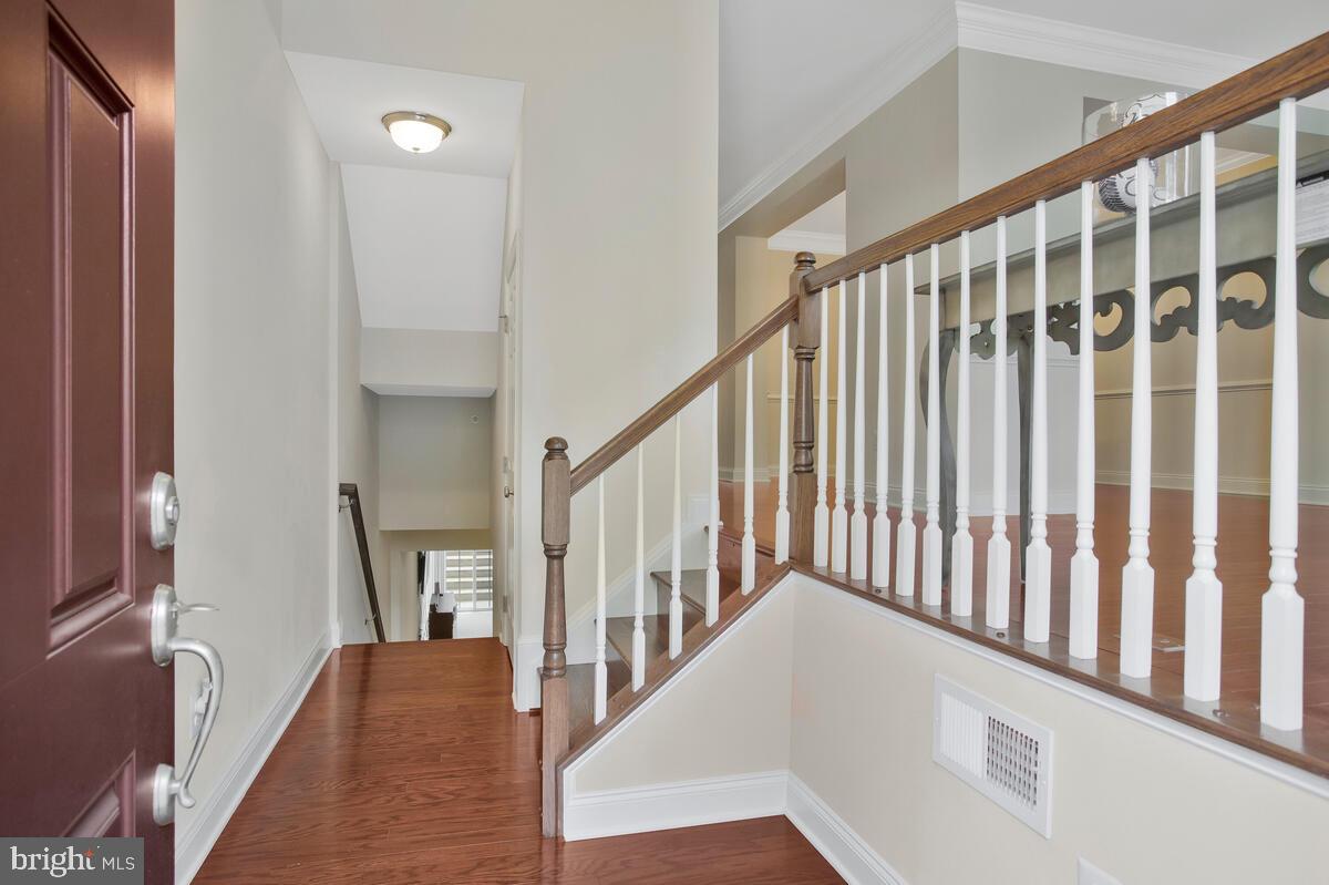 THE MEADOWS AT ARUNDEL FOREST - Residential