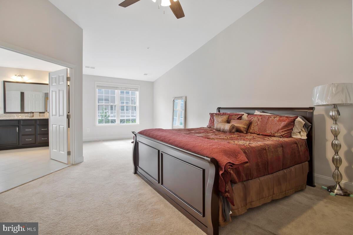 THE MEADOWS AT ARUNDEL FOREST - Residential