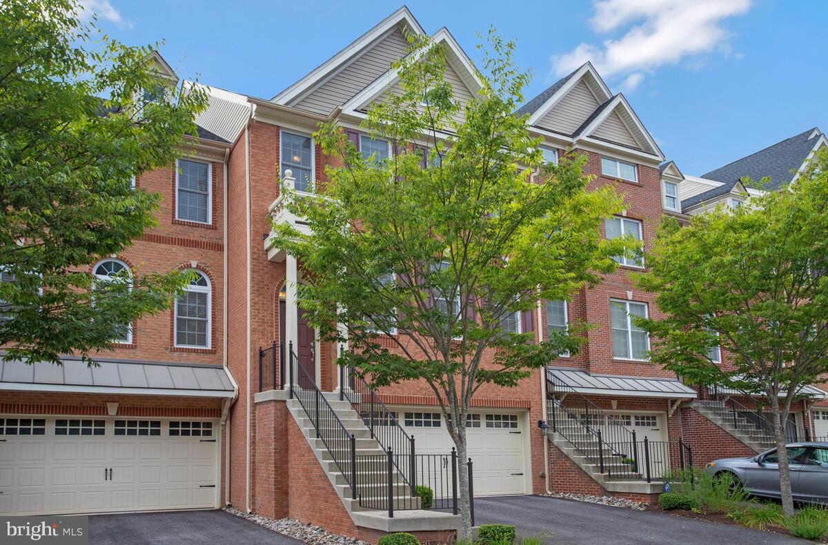 THE MEADOWS AT ARUNDEL FOREST - Residential