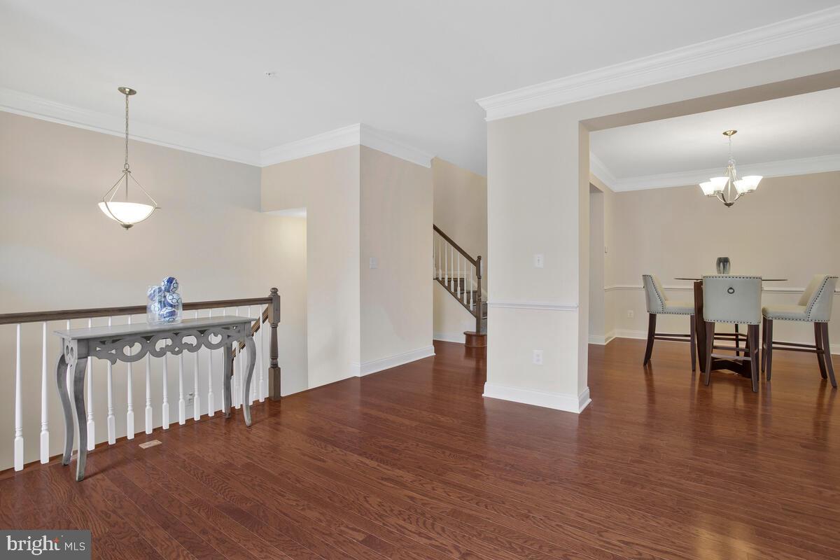 THE MEADOWS AT ARUNDEL FOREST - Residential