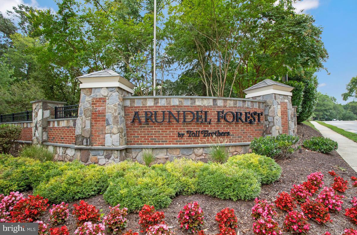 THE MEADOWS AT ARUNDEL FOREST - Residential