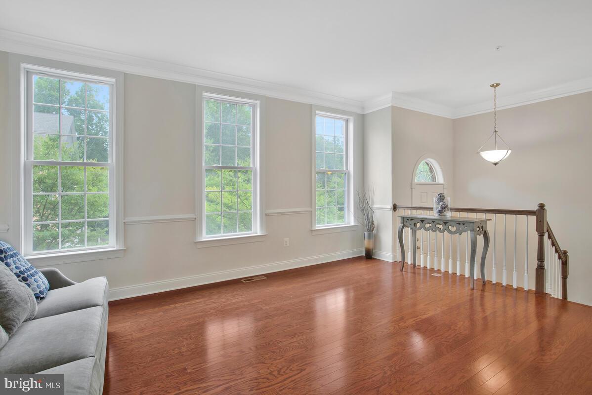 THE MEADOWS AT ARUNDEL FOREST - Residential