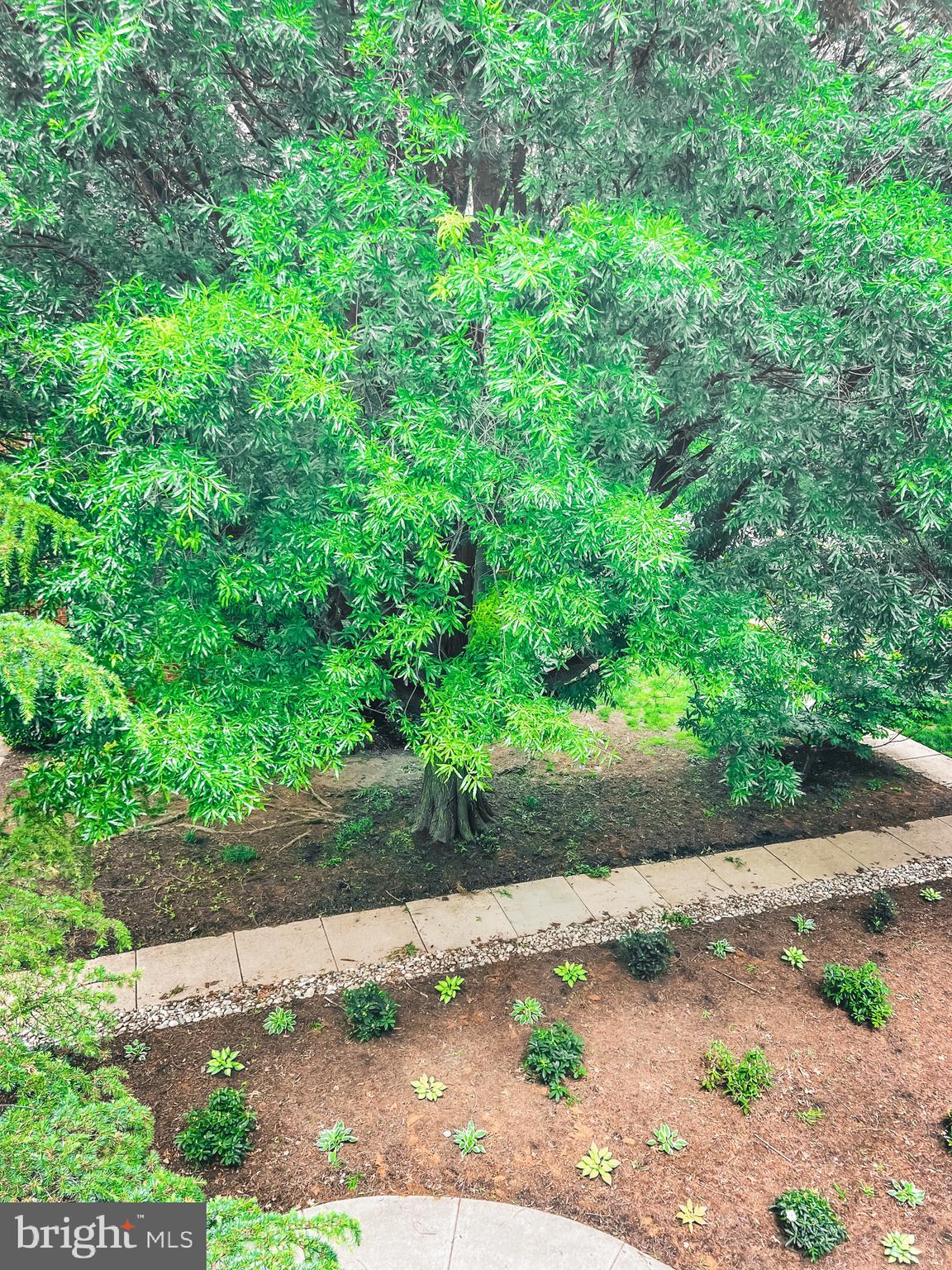 HARBOR TERRACE - Residential Lease