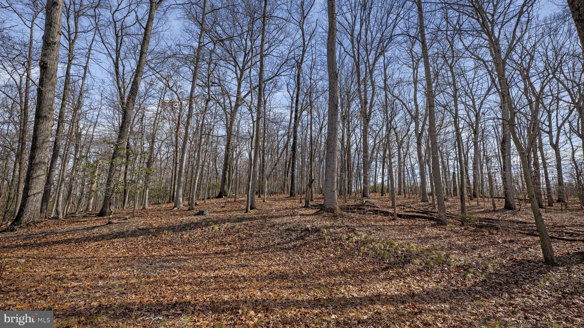 GAITHERSBURG OUTSIDE - Residential Lease