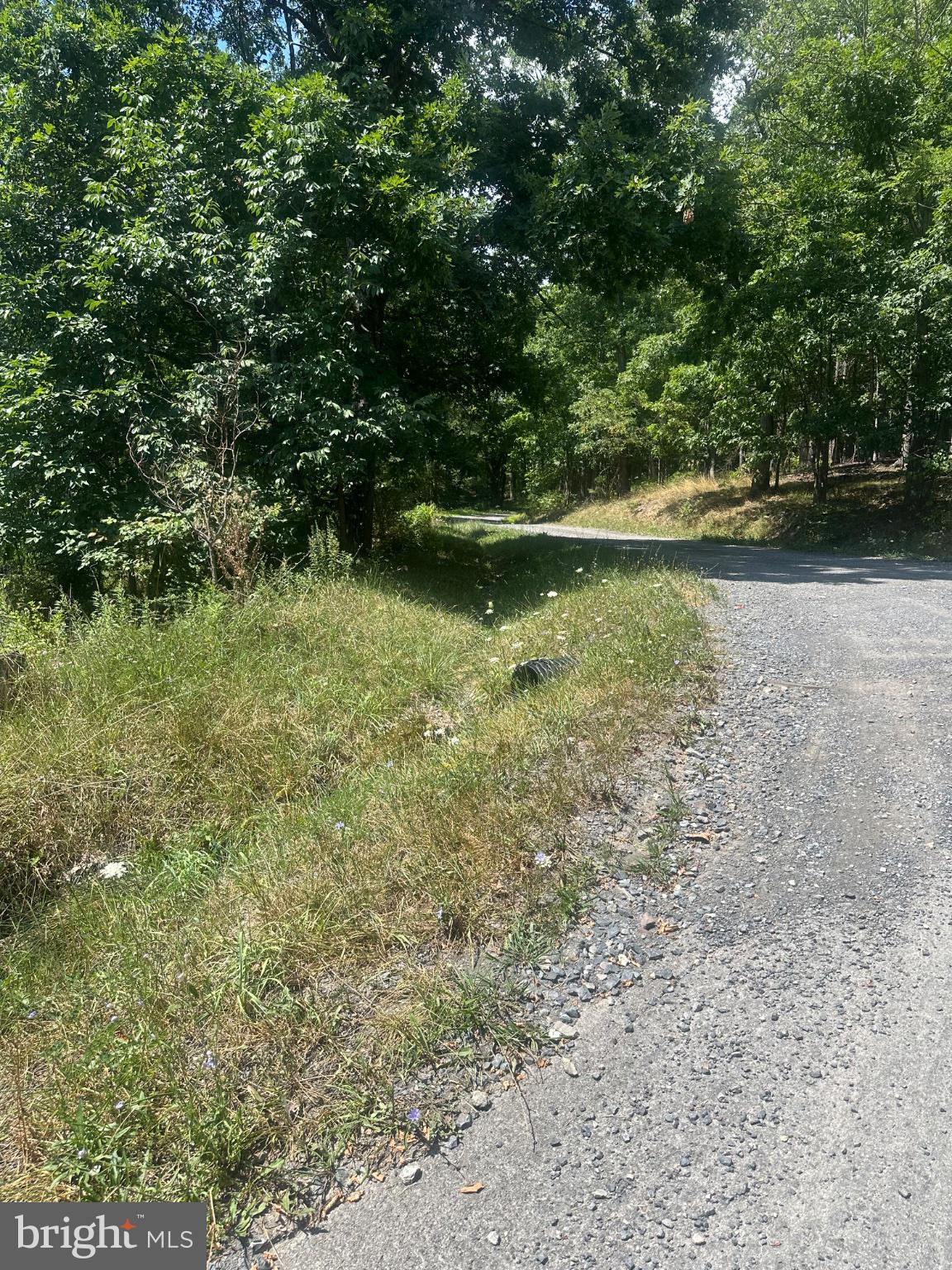 LOG TRAIL ROAD