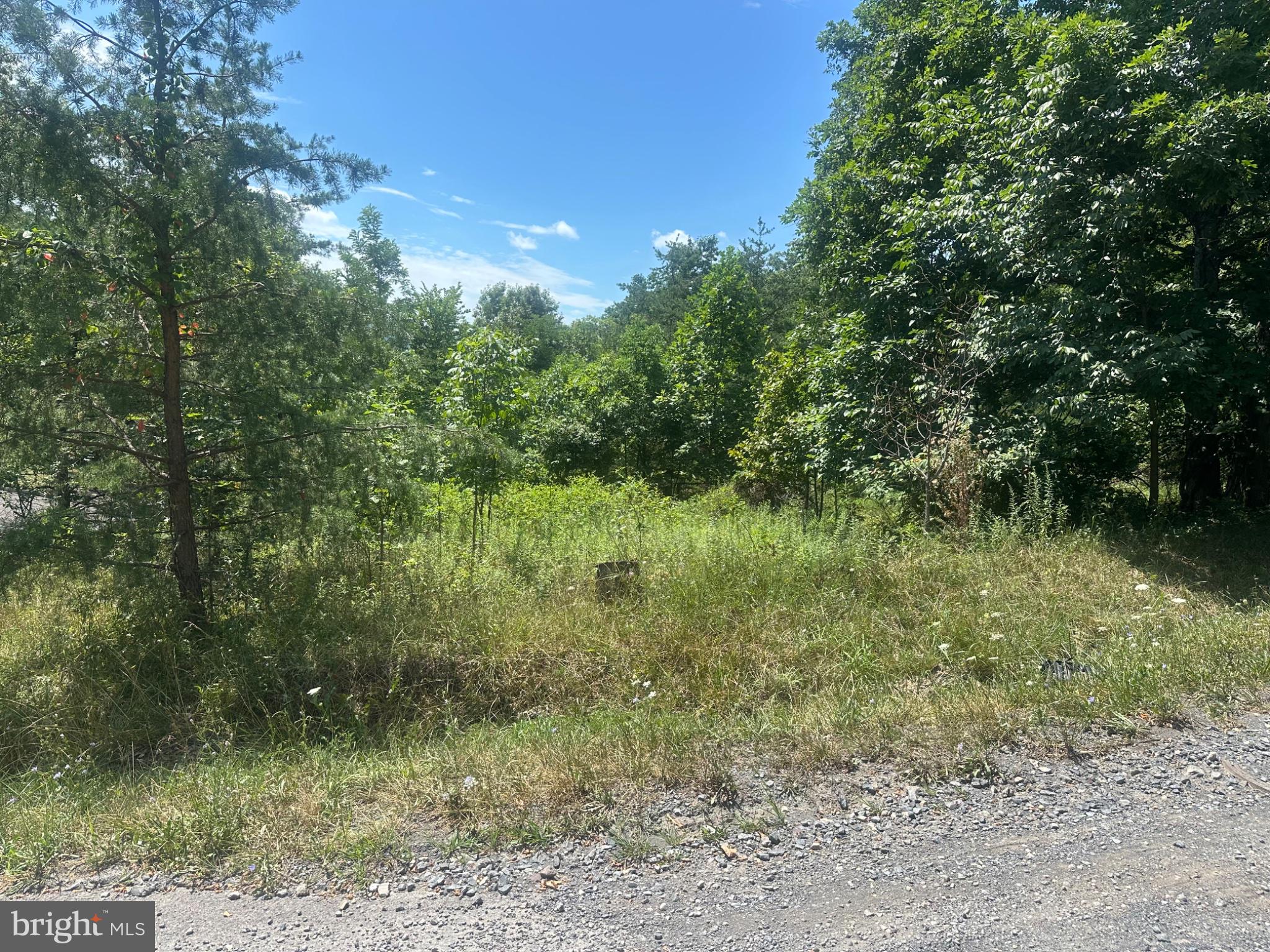 LOG TRAIL ROAD