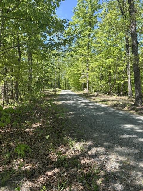 DAVIS LANE