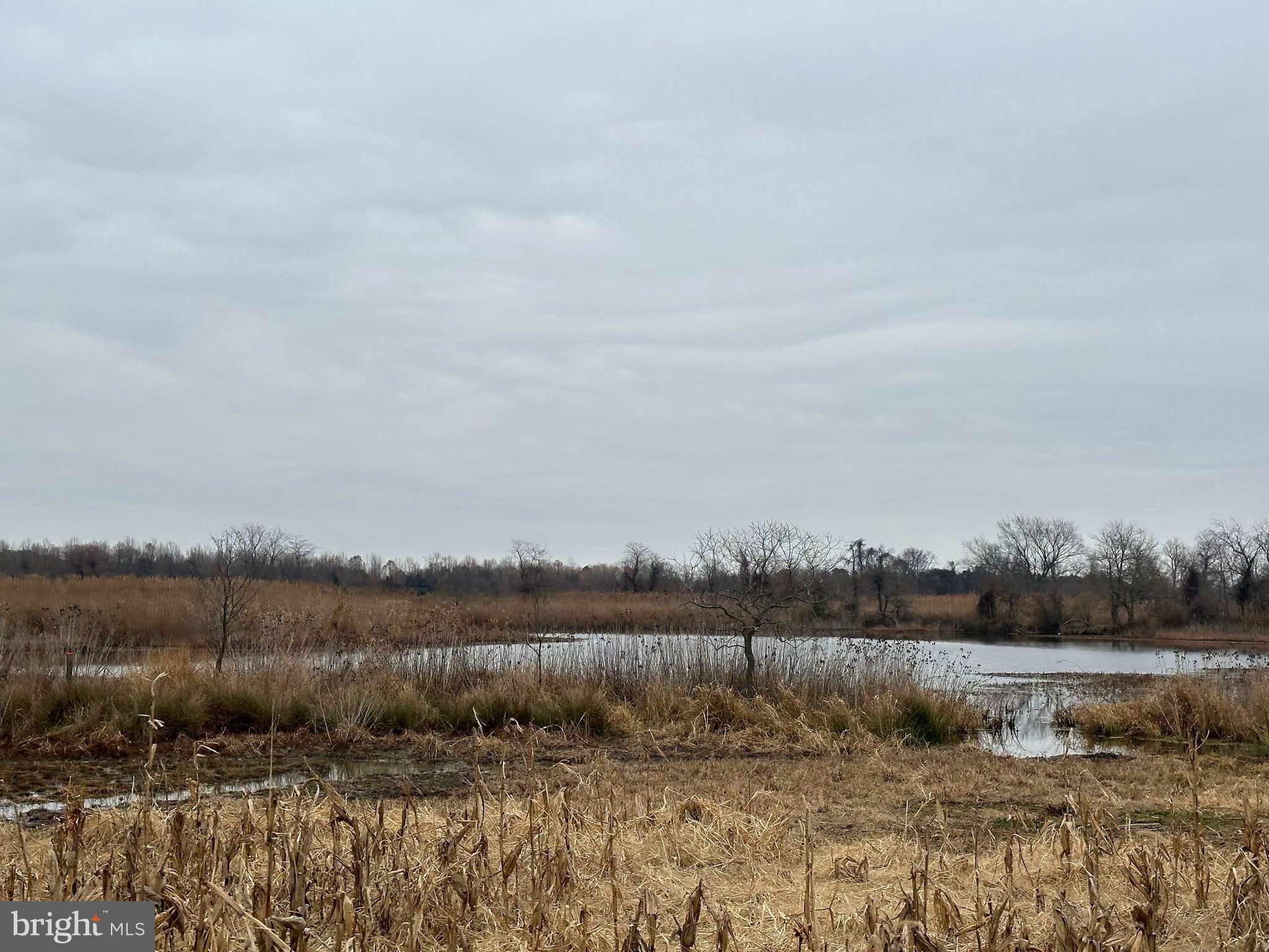 ROCK HALL - Residential