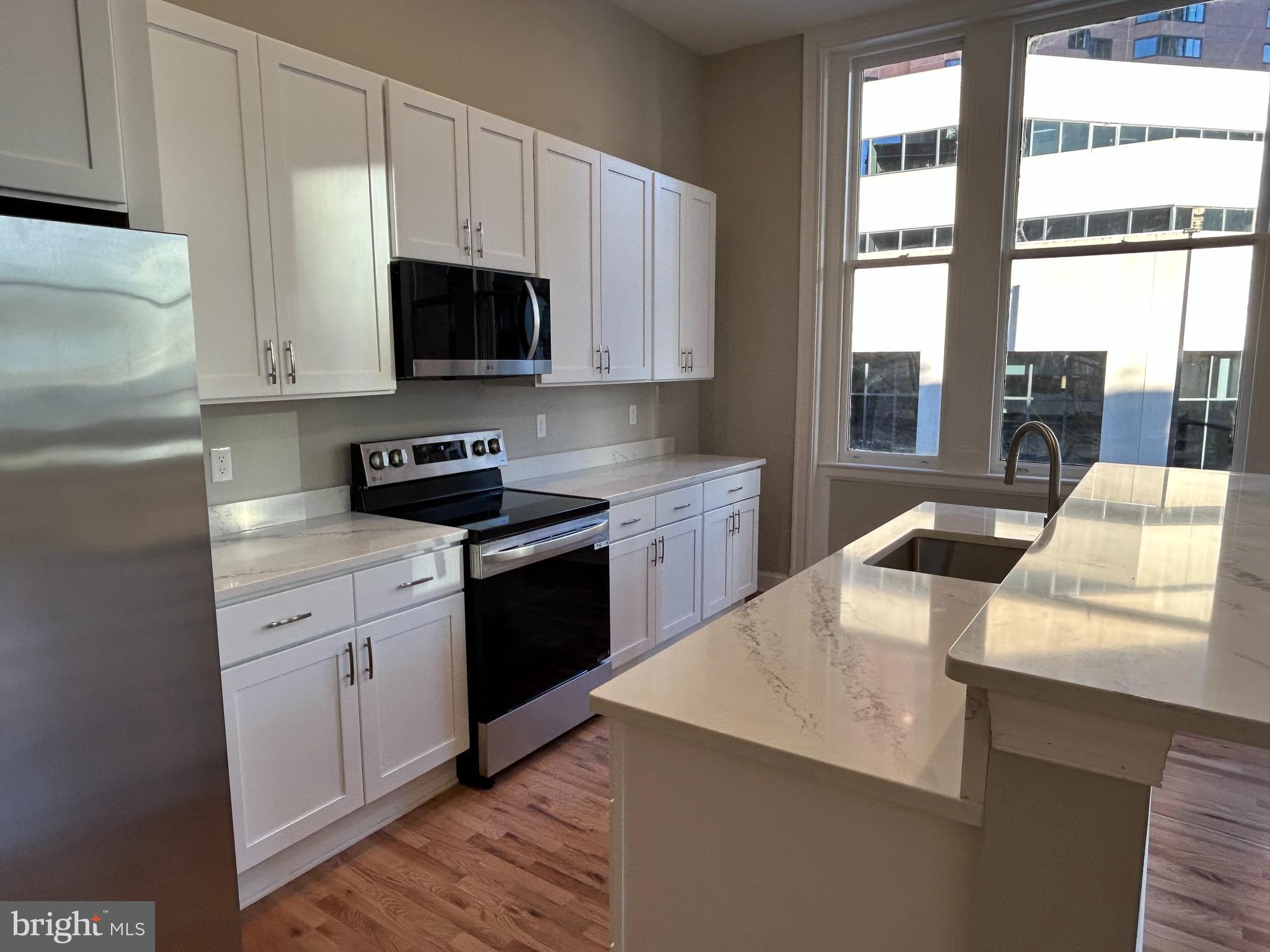 100 W LEXINGTON STREET 209