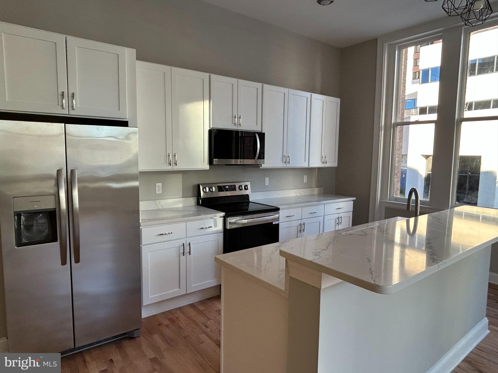 100 W LEXINGTON STREET 209
