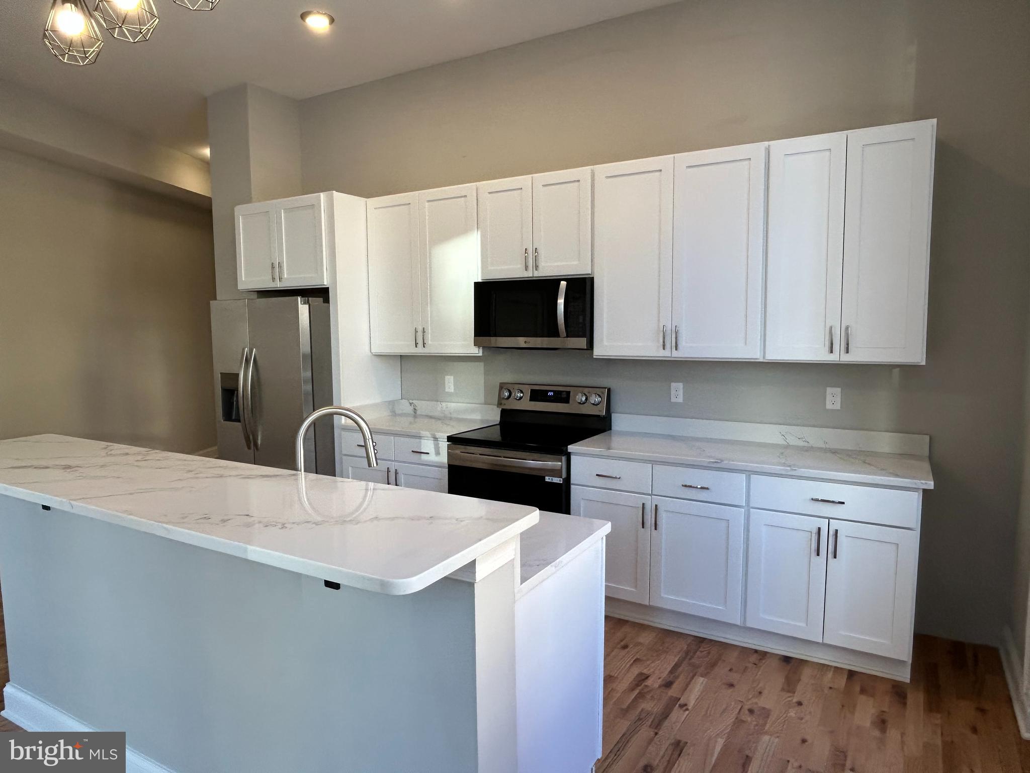 100 W LEXINGTON STREET 209