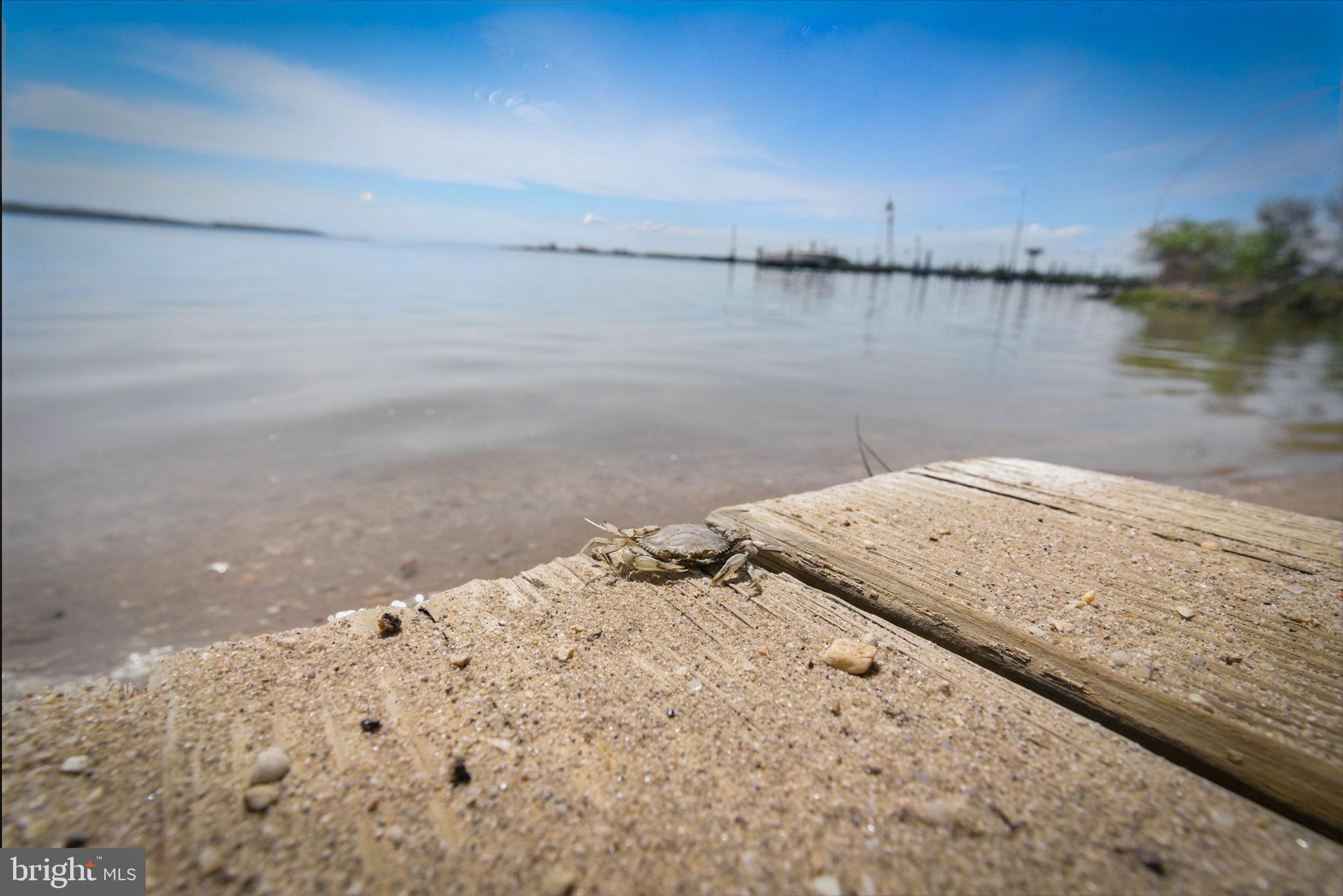 GOLDEN BEACH - Residential