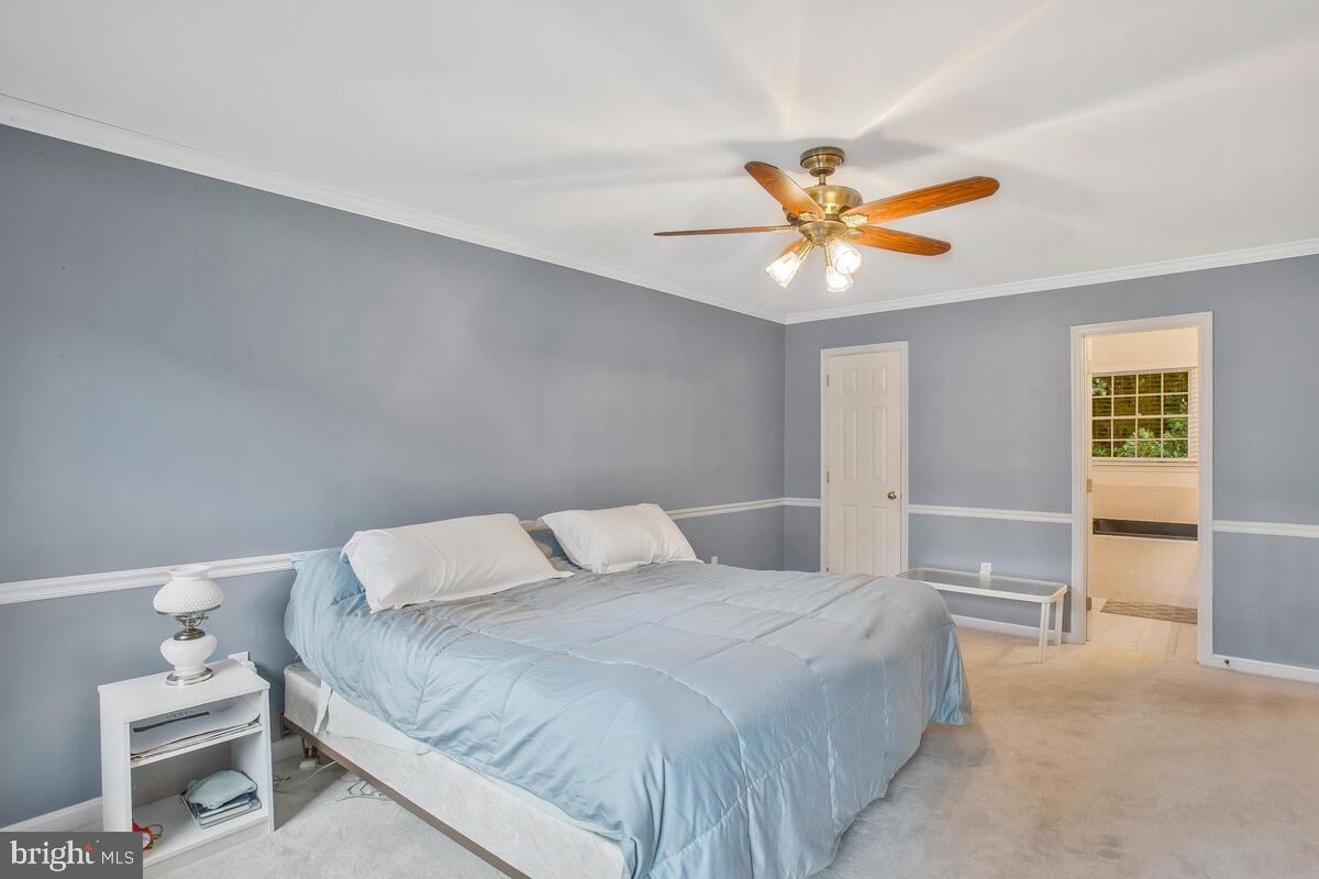 THE MEADOWS - Residential