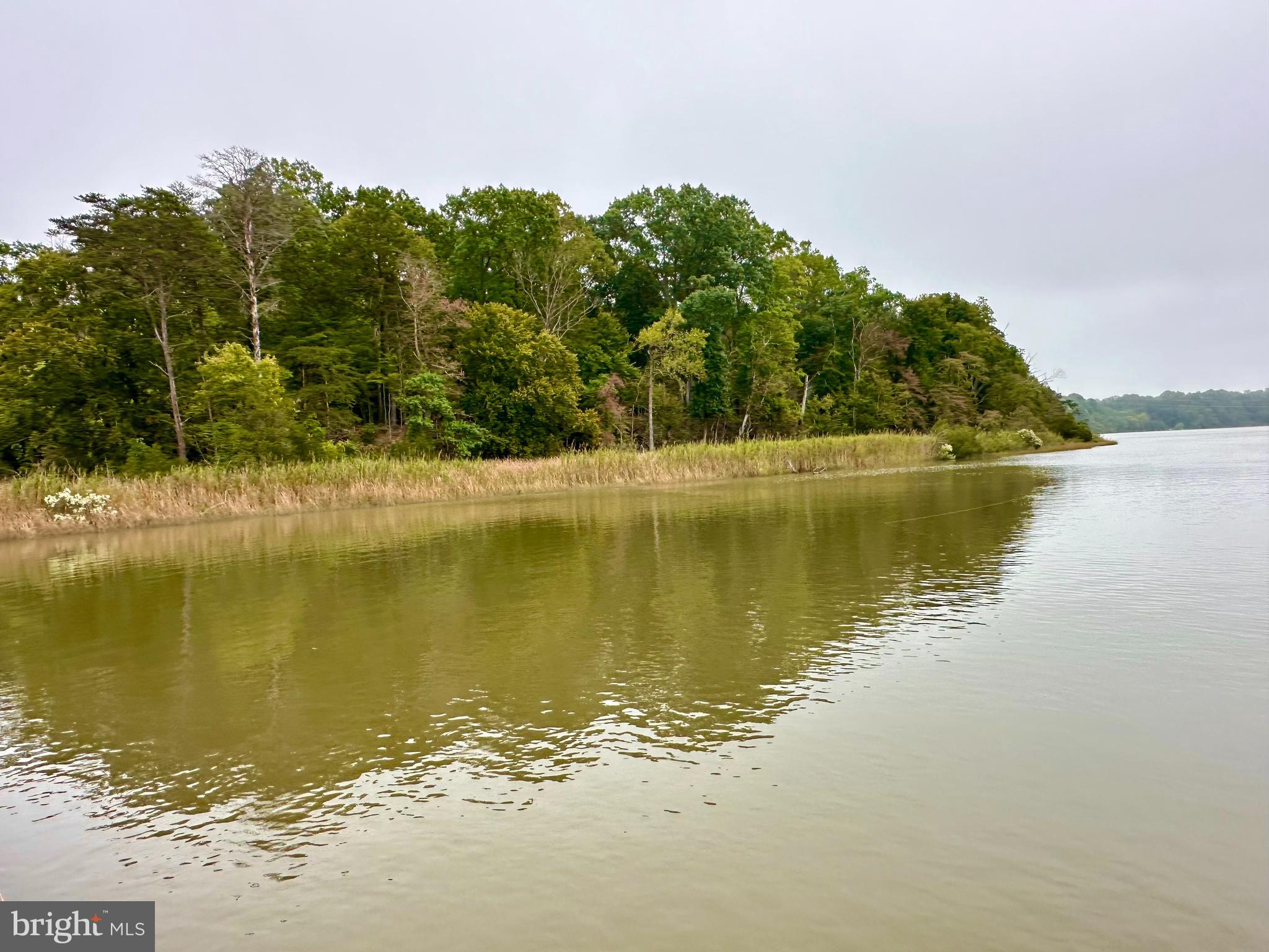 HICKORY WOODS - Residential