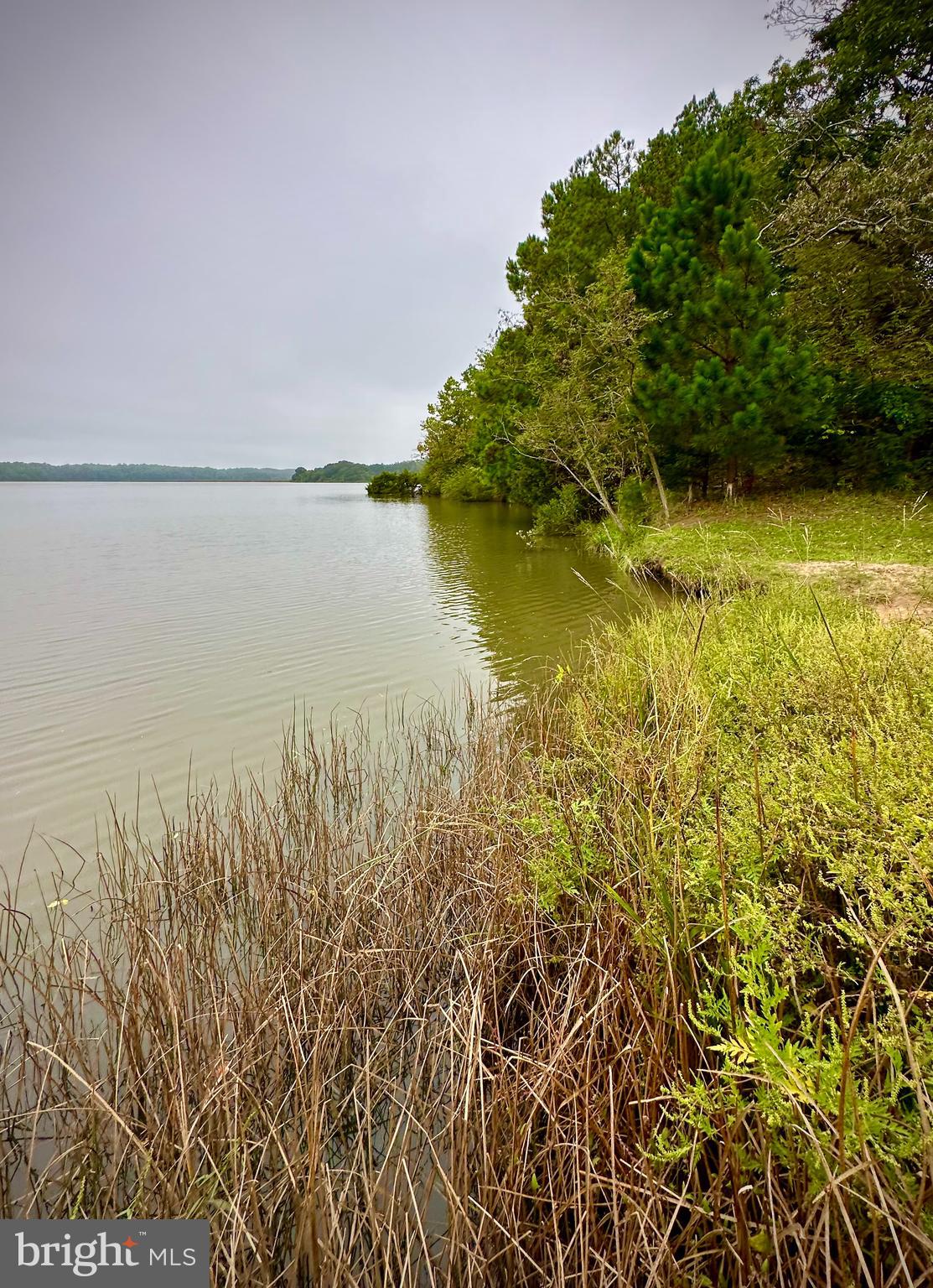 HICKORY WOODS - Residential