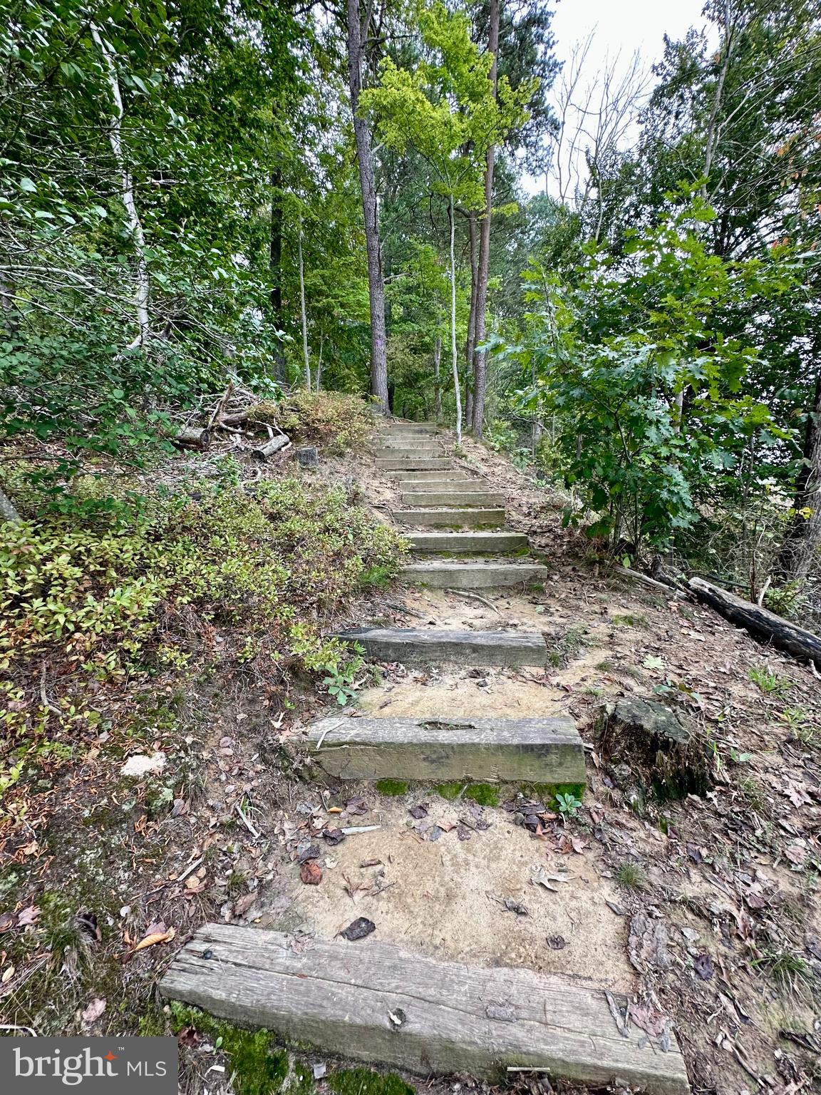 HICKORY WOODS - Residential