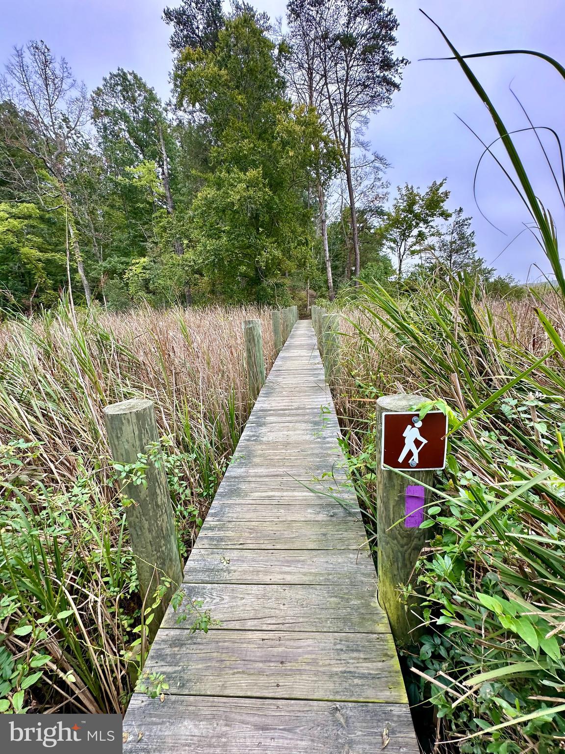 HICKORY WOODS - Residential