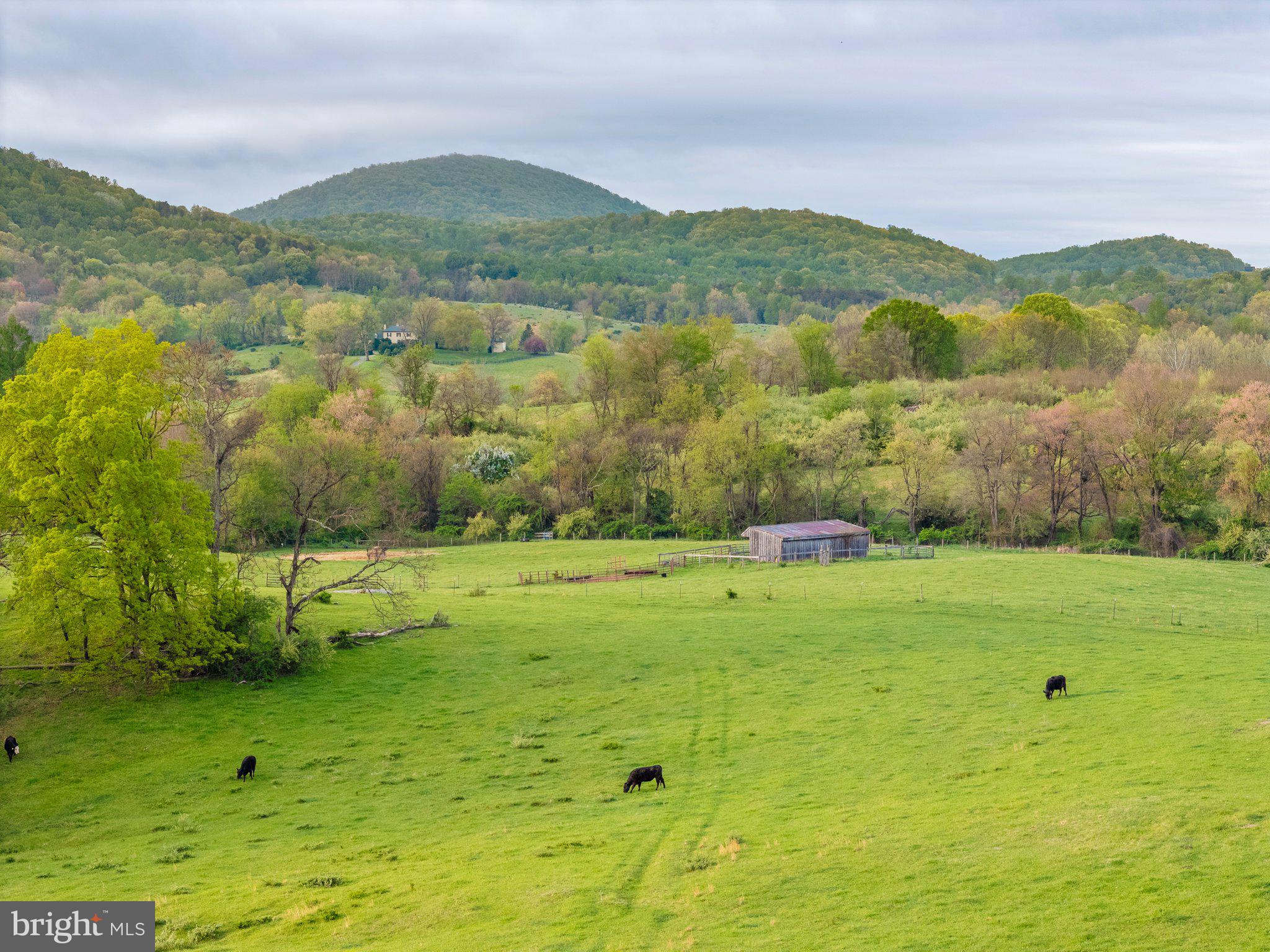 NONE AVAILABLE - Land