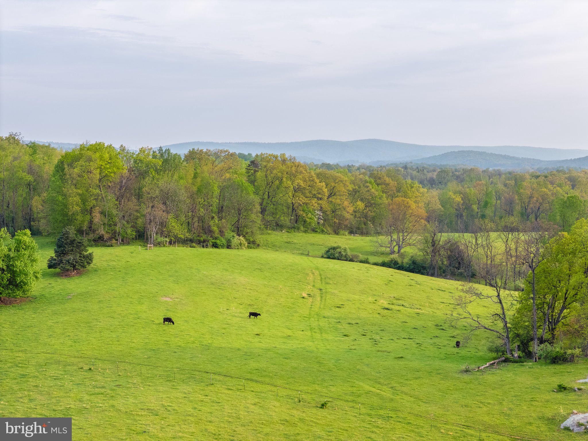 NONE AVAILABLE - Land