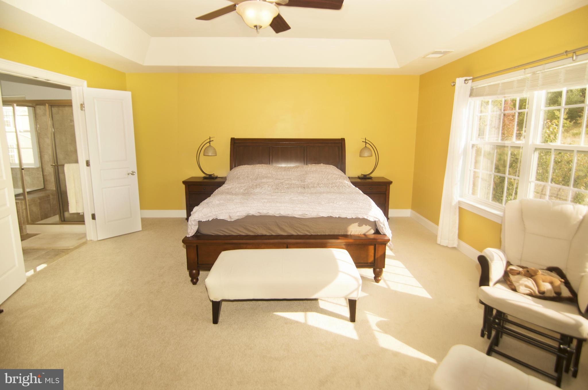 MILLERS MILL WOODS - Residential