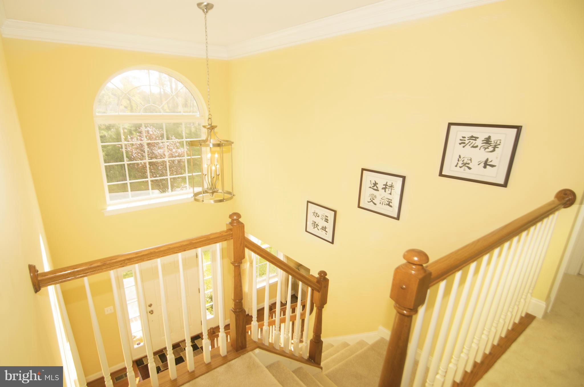 MILLERS MILL WOODS - Residential