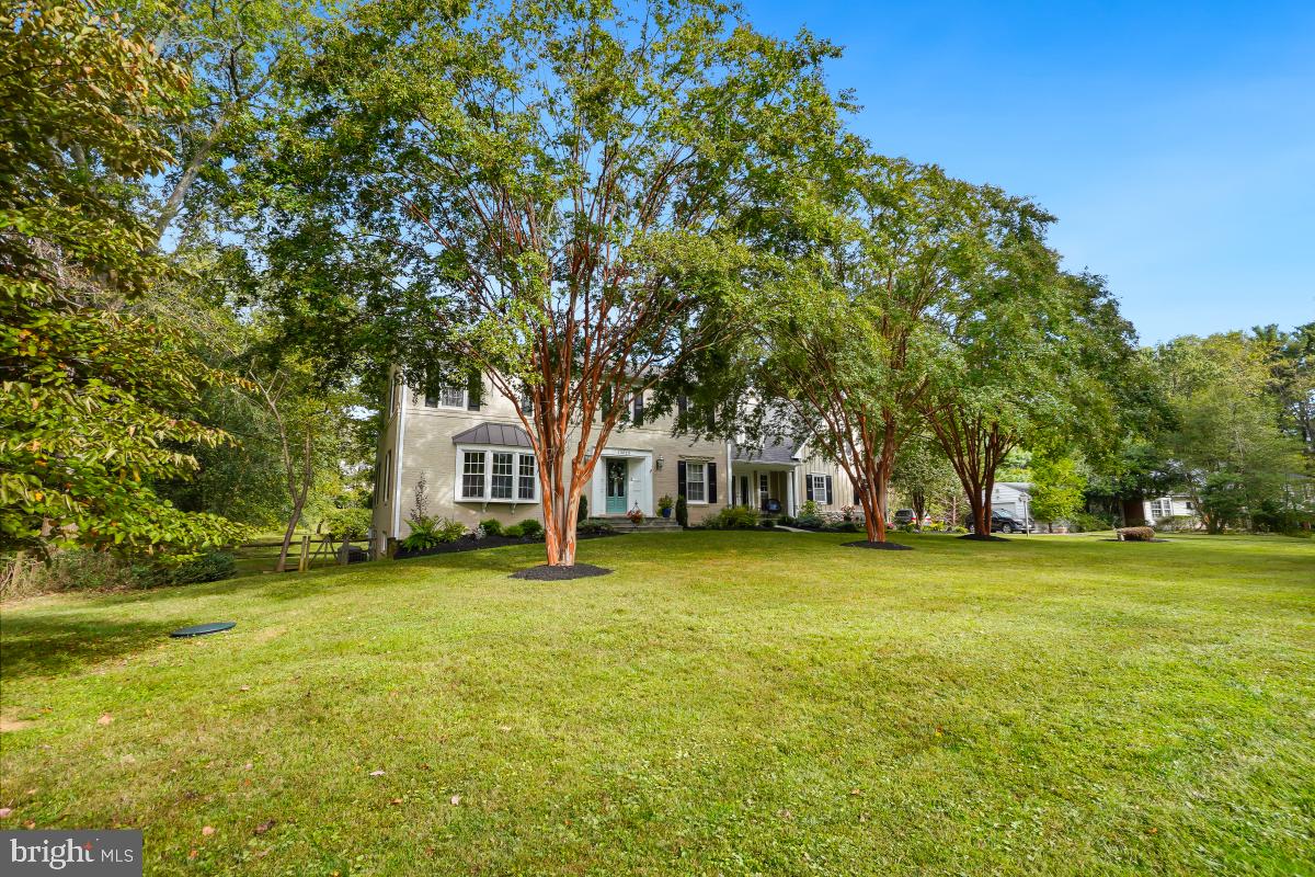 13025 CHESTNUT OAK