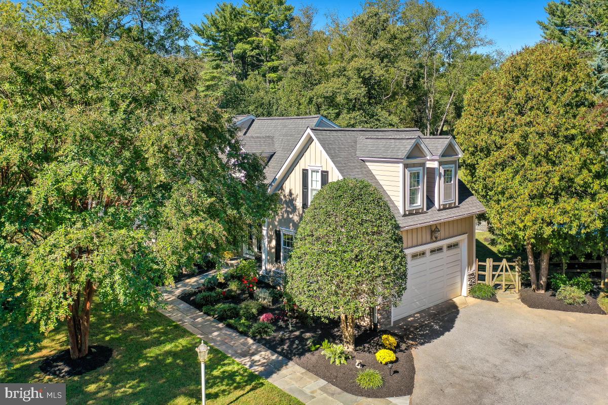 13025 CHESTNUT OAK