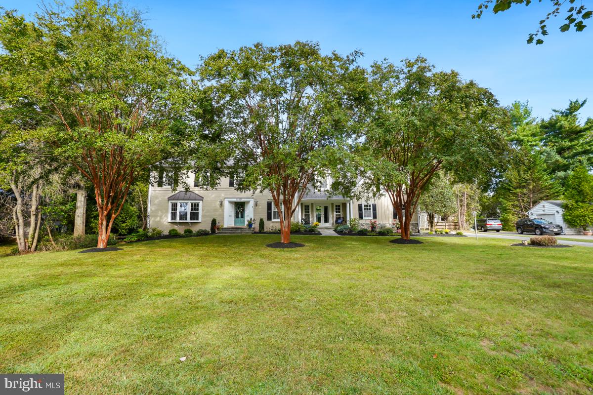 13025 CHESTNUT OAK