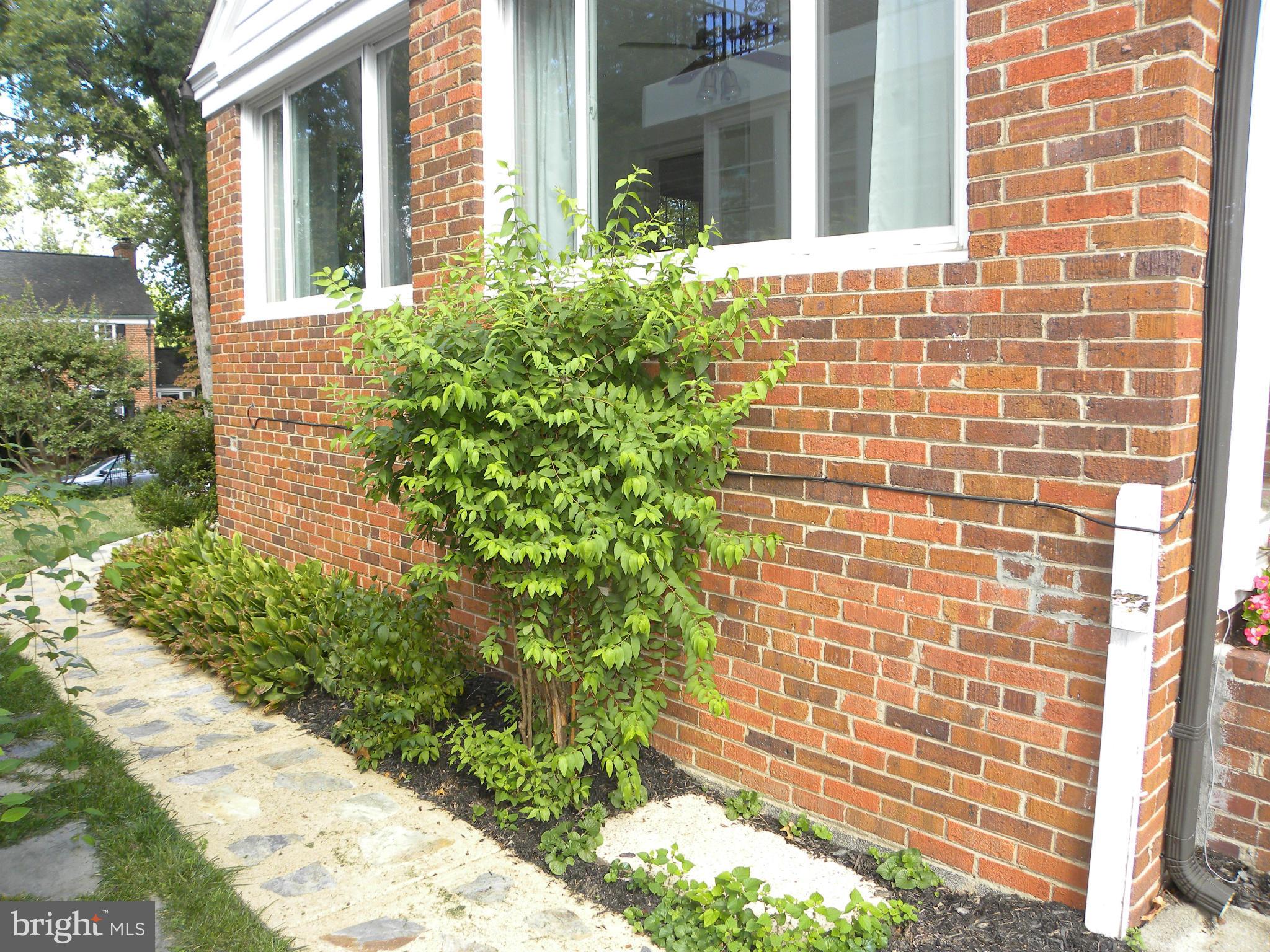 BEVERLEY HILLS - Residential Lease