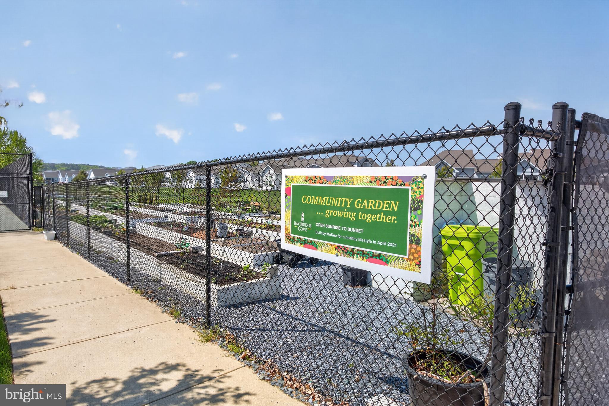 BAY BRIDGE COVE - Residential