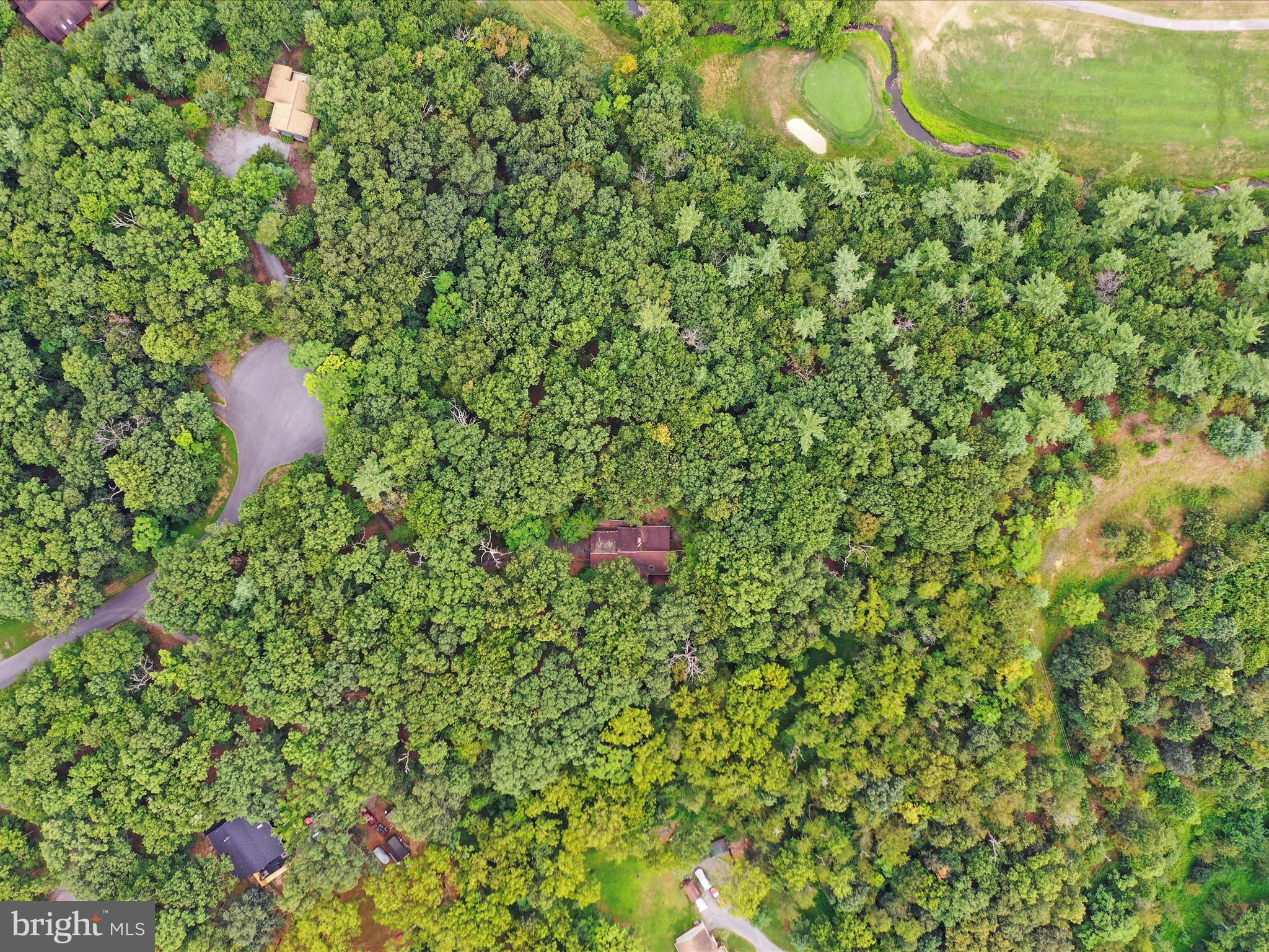 THE WOODS - Residential