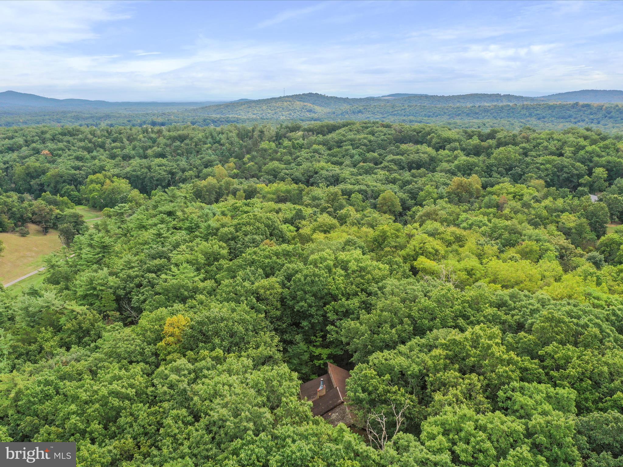 THE WOODS - Residential