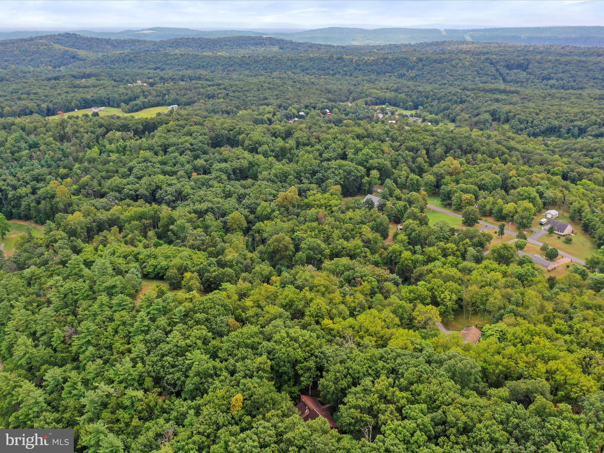 THE WOODS - Residential