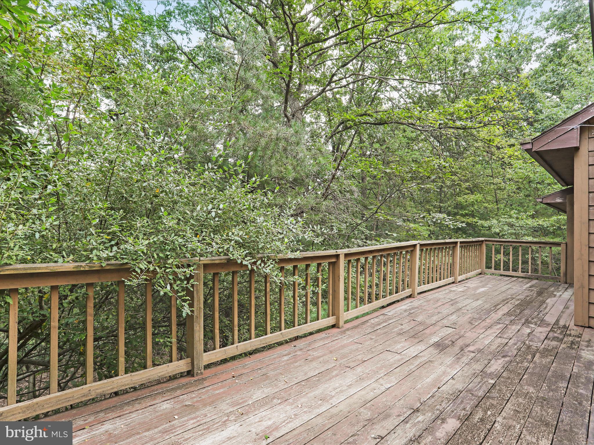 THE WOODS - Residential