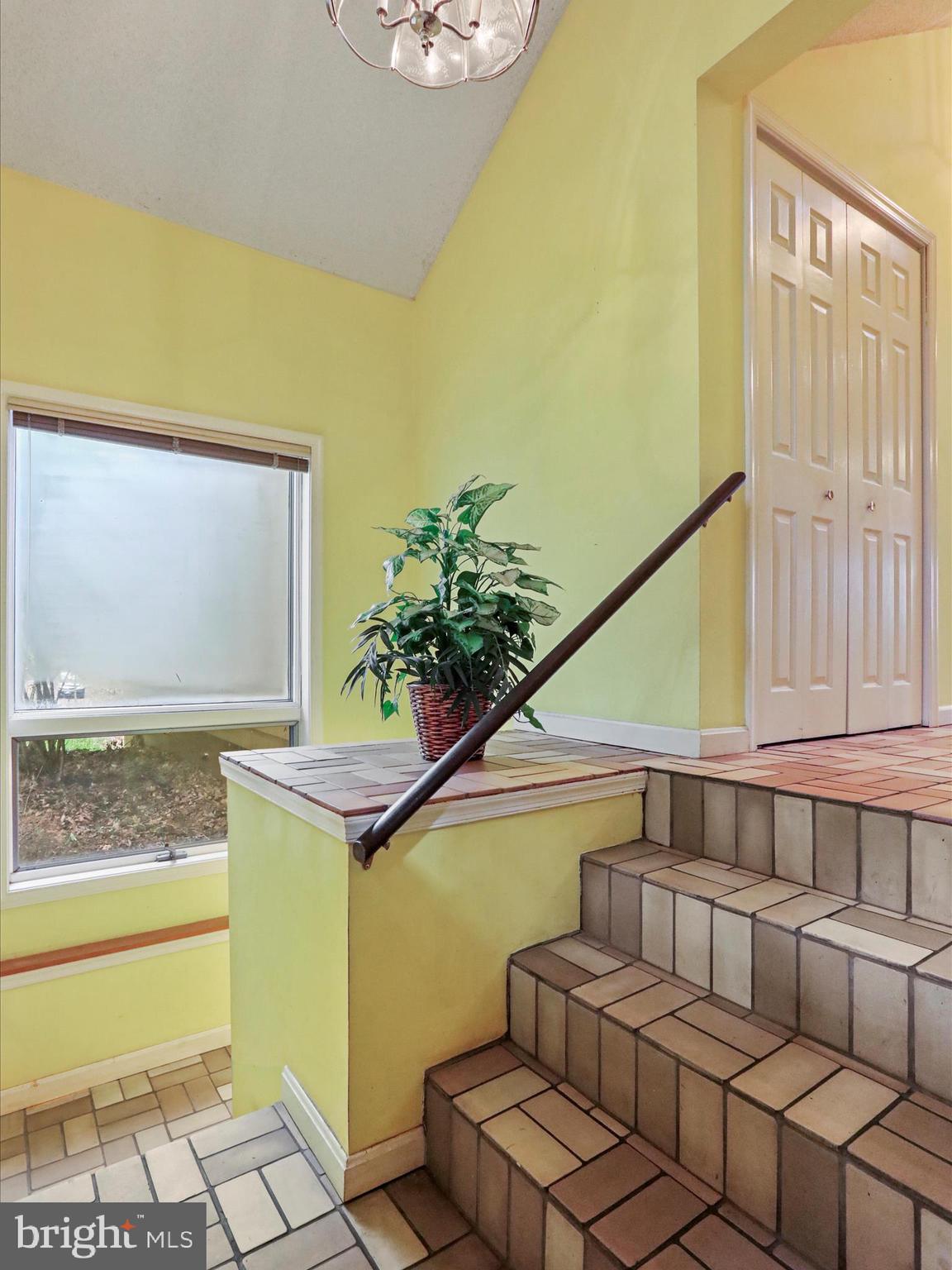 THE WOODS - Residential