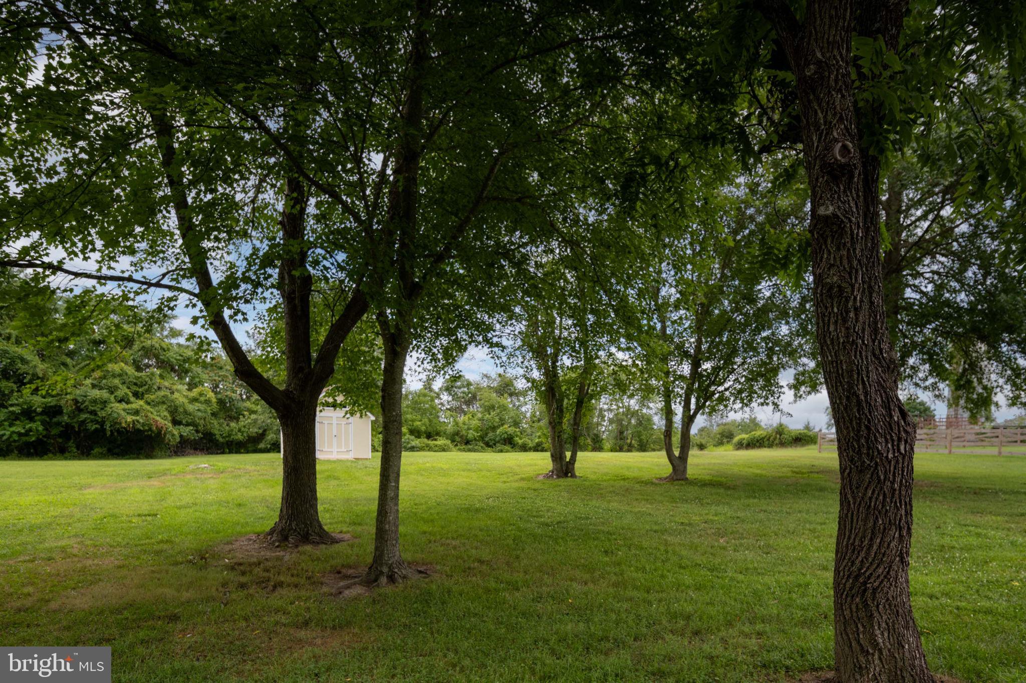 WALNUT HILLS - Residential