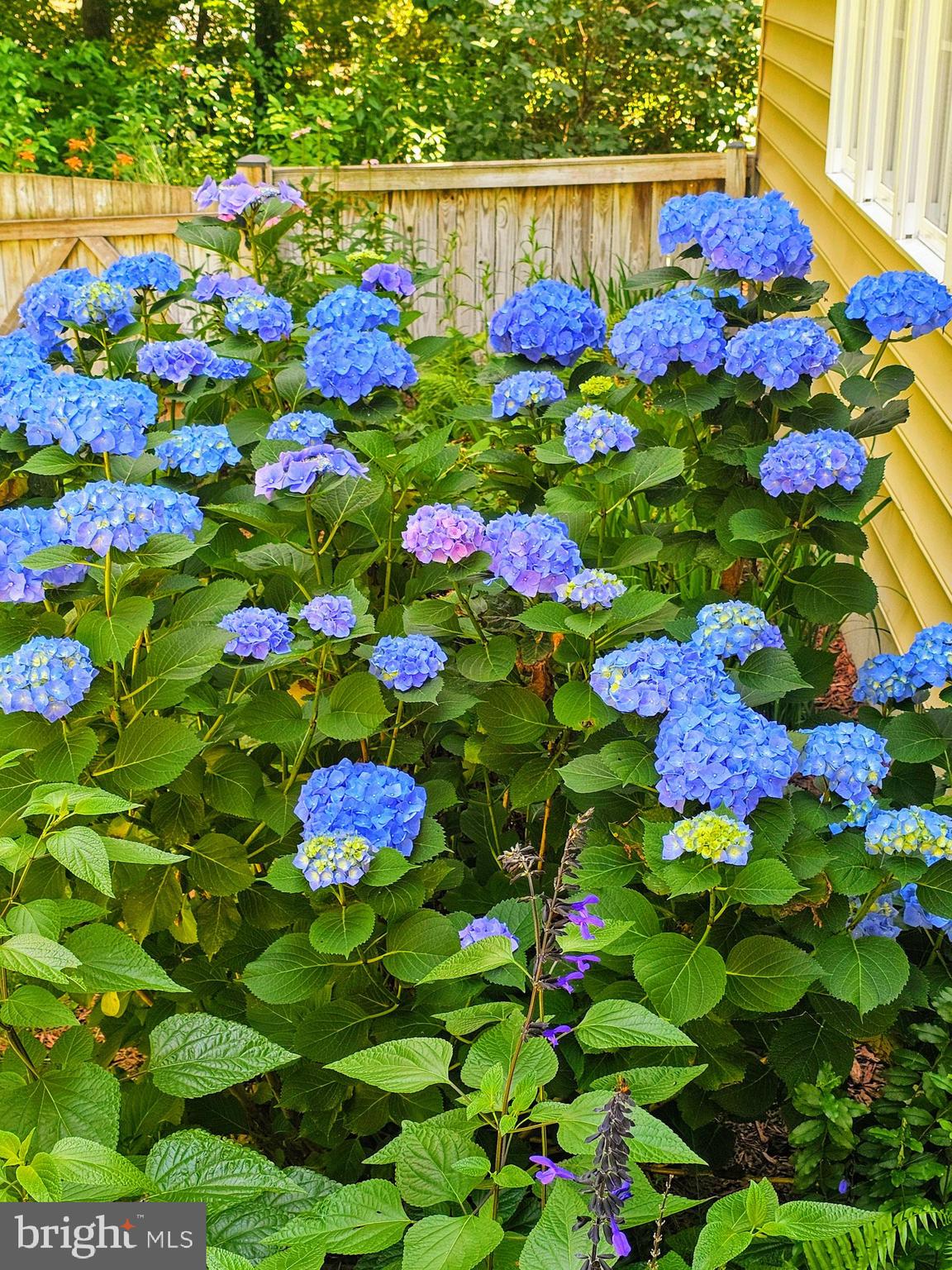 HARMONY WOODS - Residential