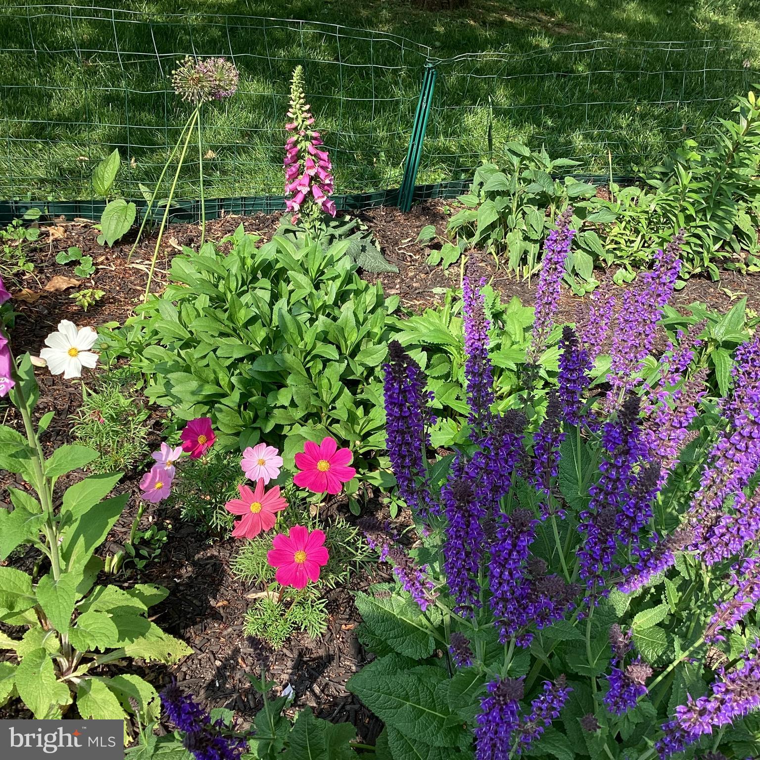 PLYMOUTH MEETING - Residential