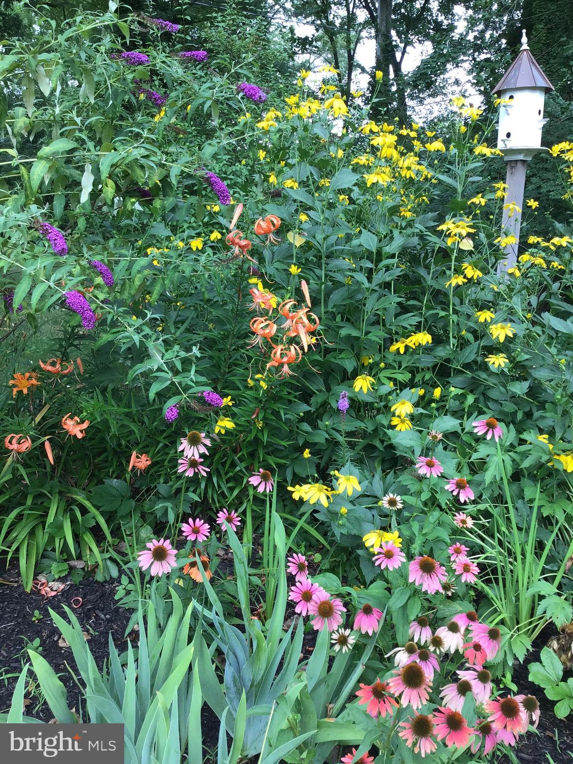 PLYMOUTH MEETING - Residential