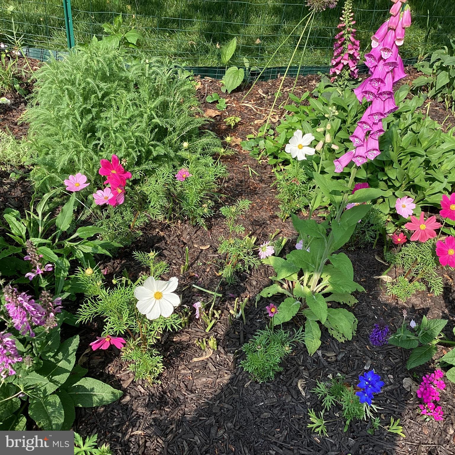 PLYMOUTH MEETING - Residential