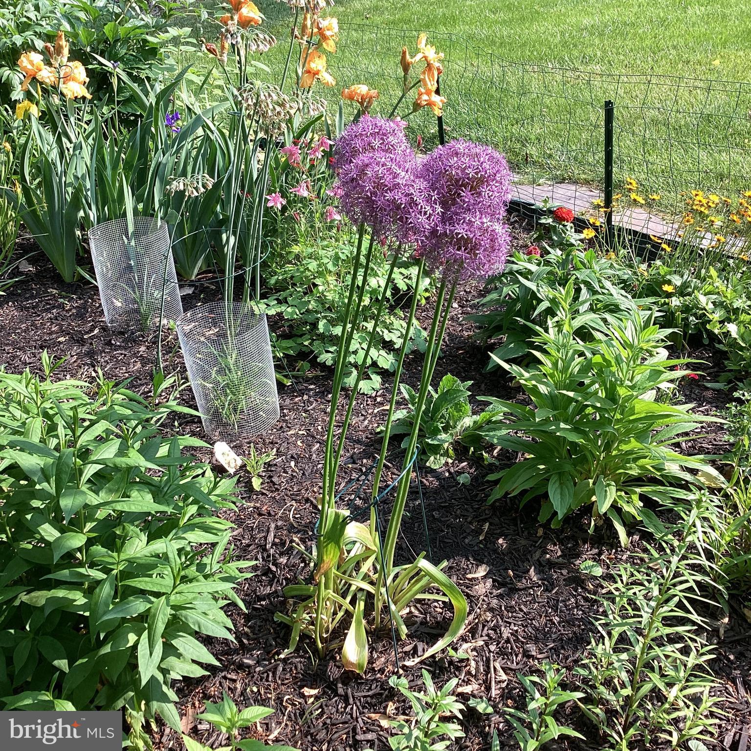 PLYMOUTH MEETING - Residential