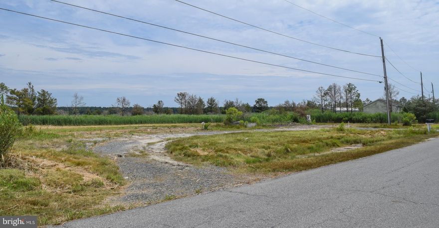 Back on the market for the second time, at no fault of the its own. Double lot down a quiet rural road. Walking distance to Jenkins Creek; where you can launch your boat, catch spectacular water views and enjoy some of the Eastern Shore's fishing and crabbing . Public sewer hookup (with NO city taxes) and electrical box for each lot and one shared well. U-shaped driveway makes for easy entry and exit to the property. Property housed two mobile homes on it in the past.