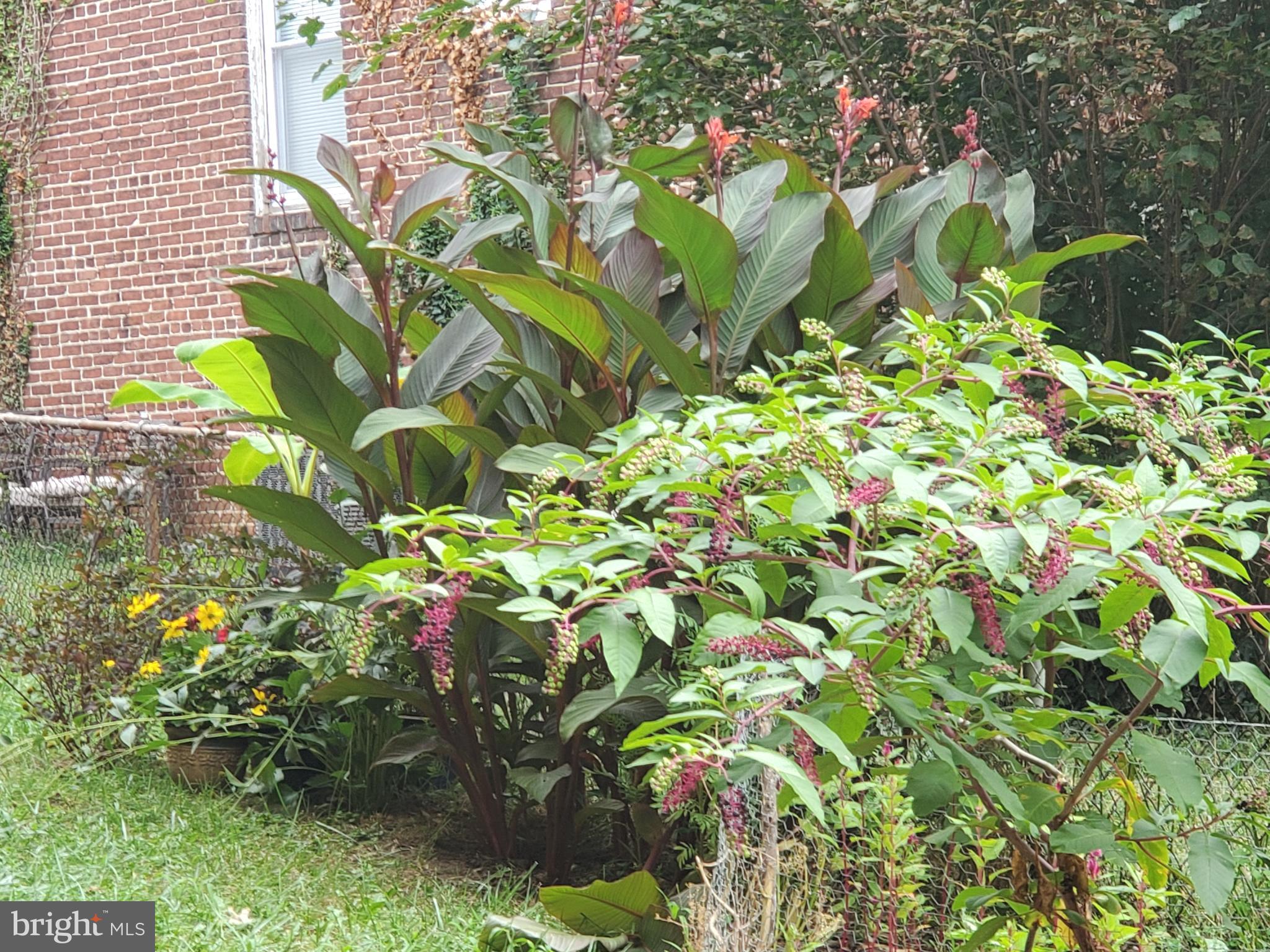 WAVERLY - Residential