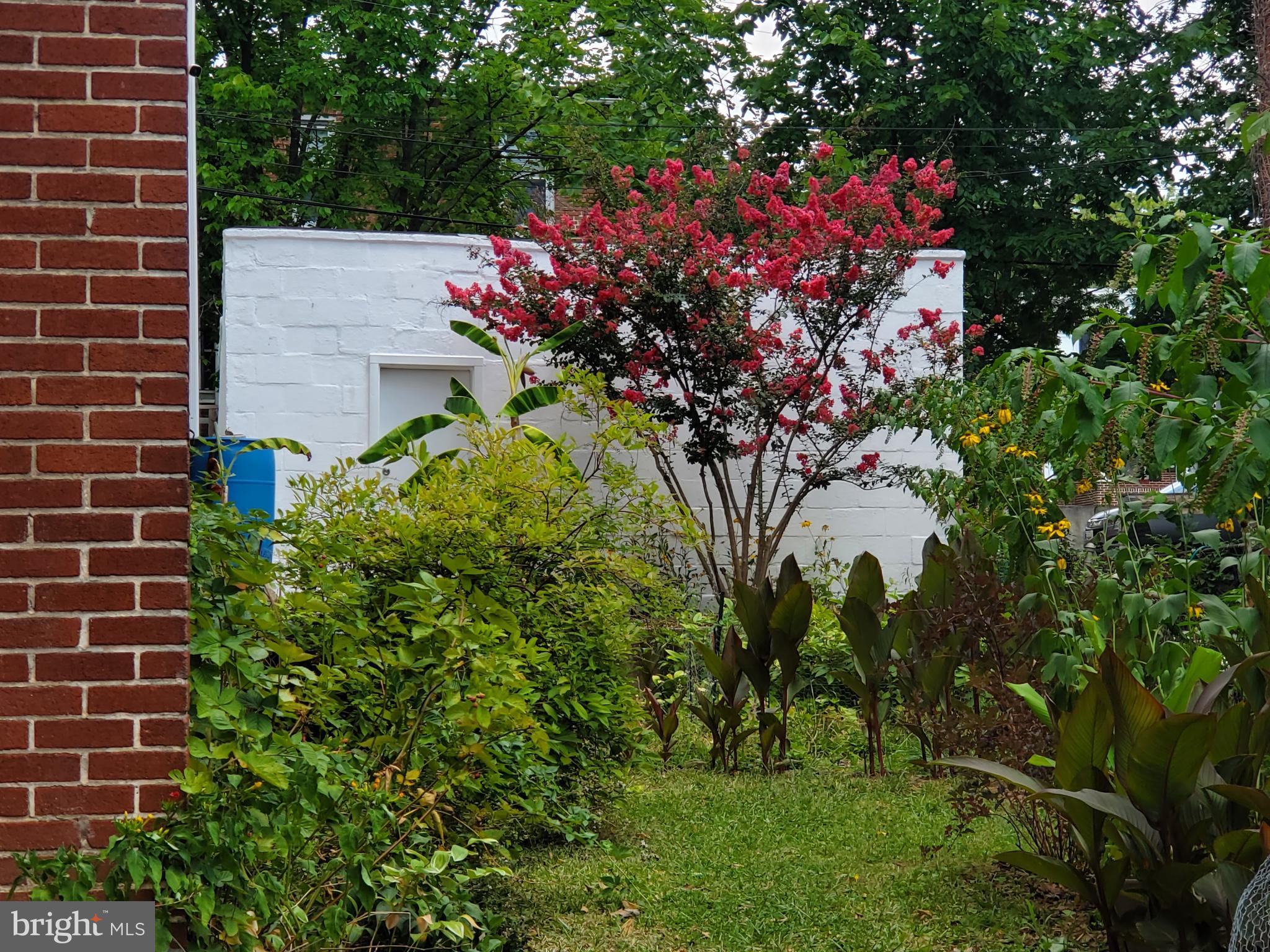 WAVERLY - Residential