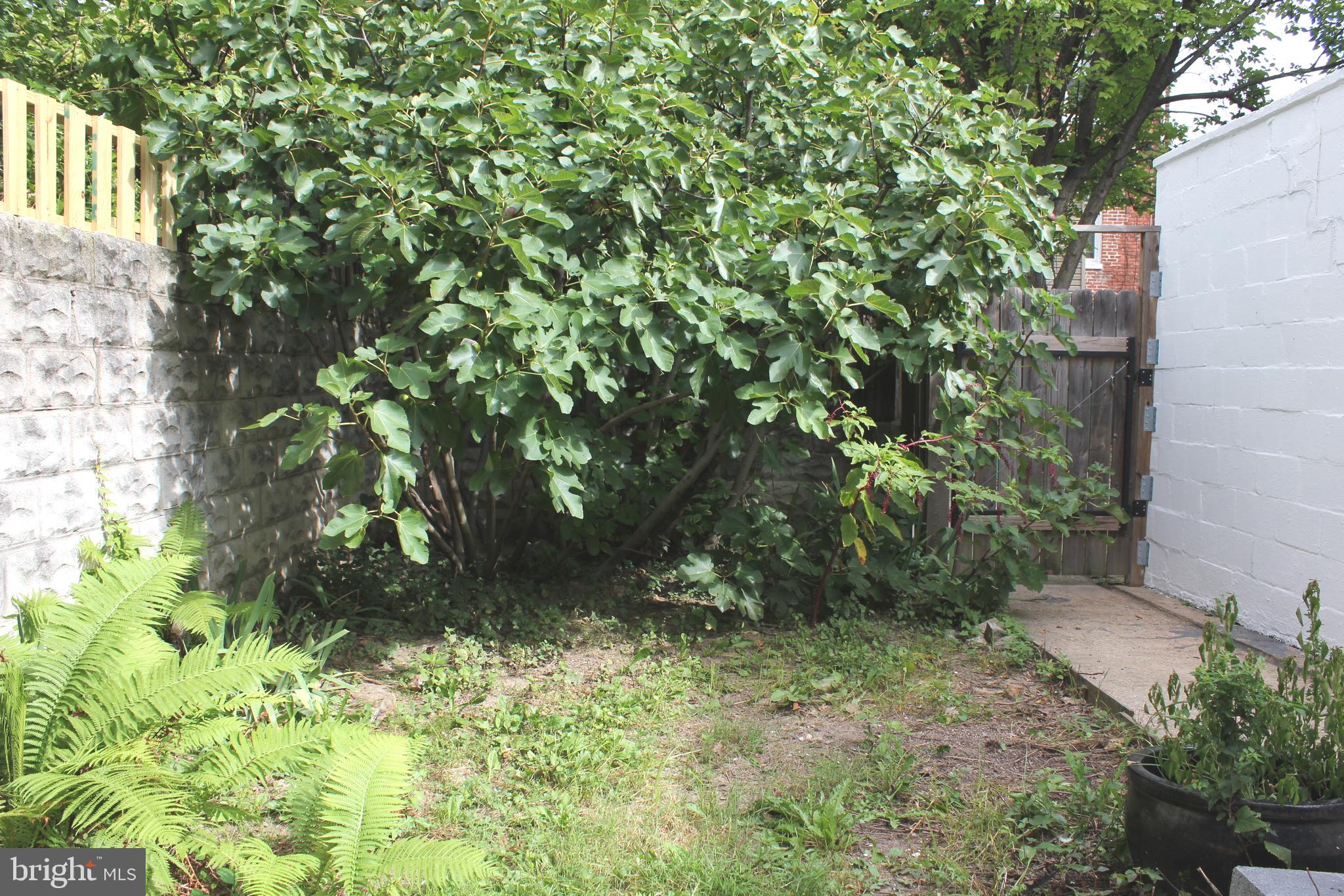 WAVERLY - Residential