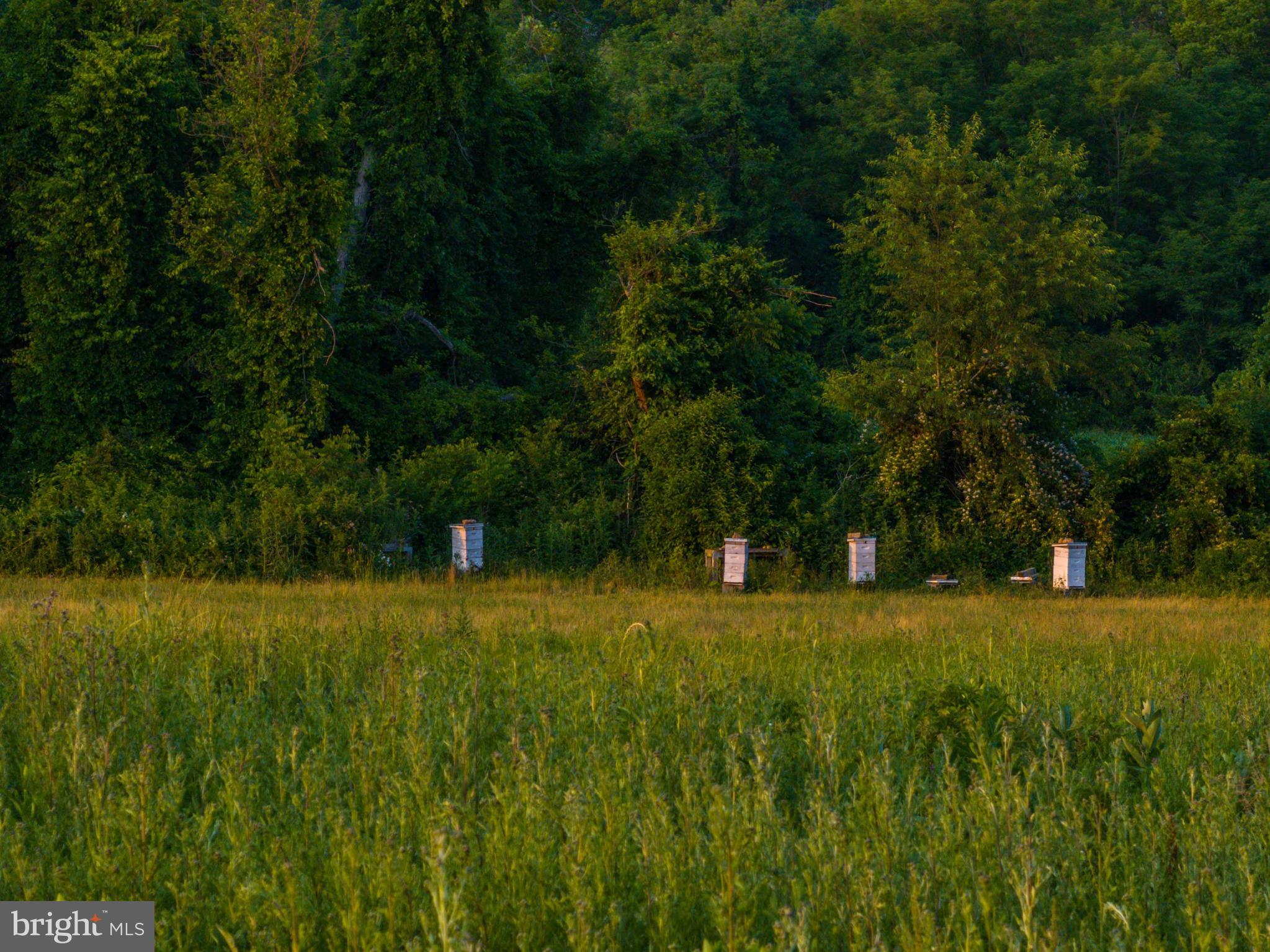 BELFAST VALLEY - Residential