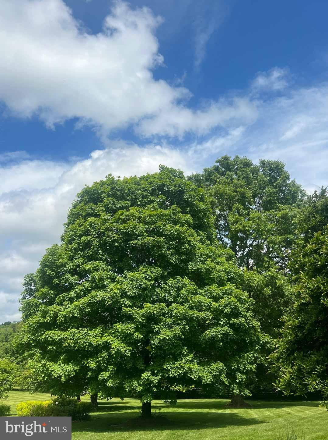 BELFAST VALLEY - Residential