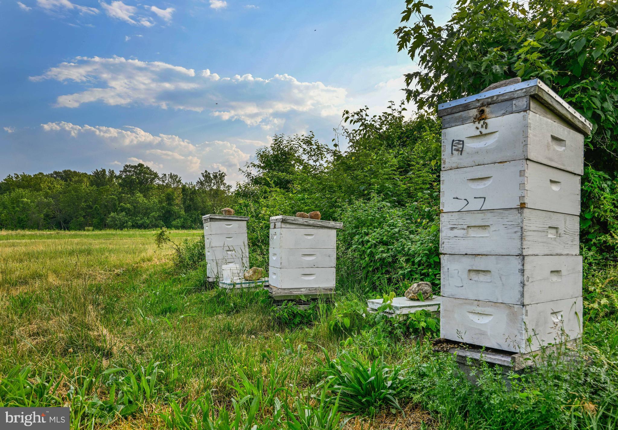 BELFAST VALLEY - Residential