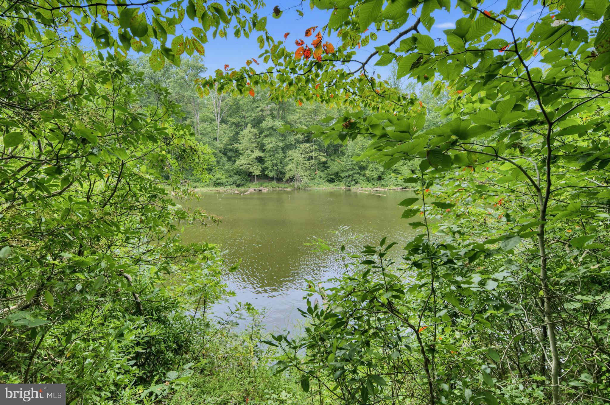 3117 WOODS COVE LANE
