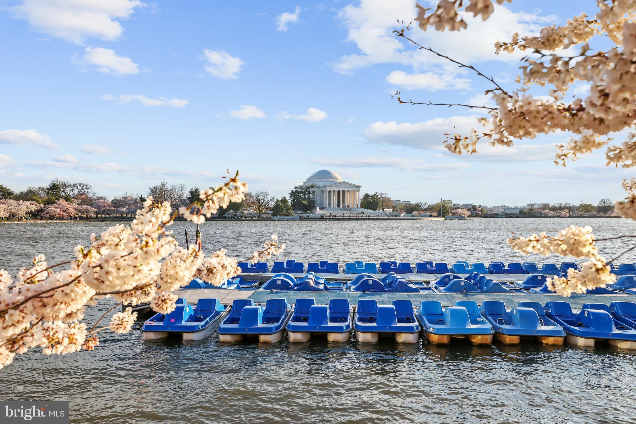 CLARENDON - Residential